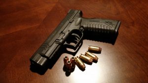 school shooting gun control essay